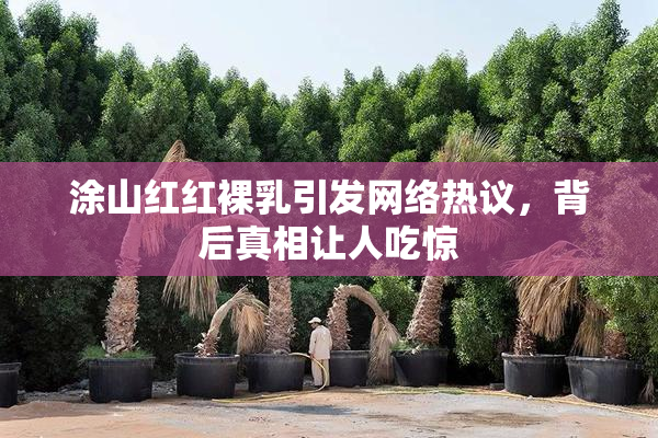 涂山红红裸乳引发网络热议，背后真相让人吃惊