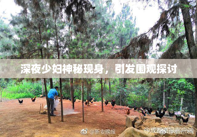 深夜少妇神秘现身，引发围观探讨