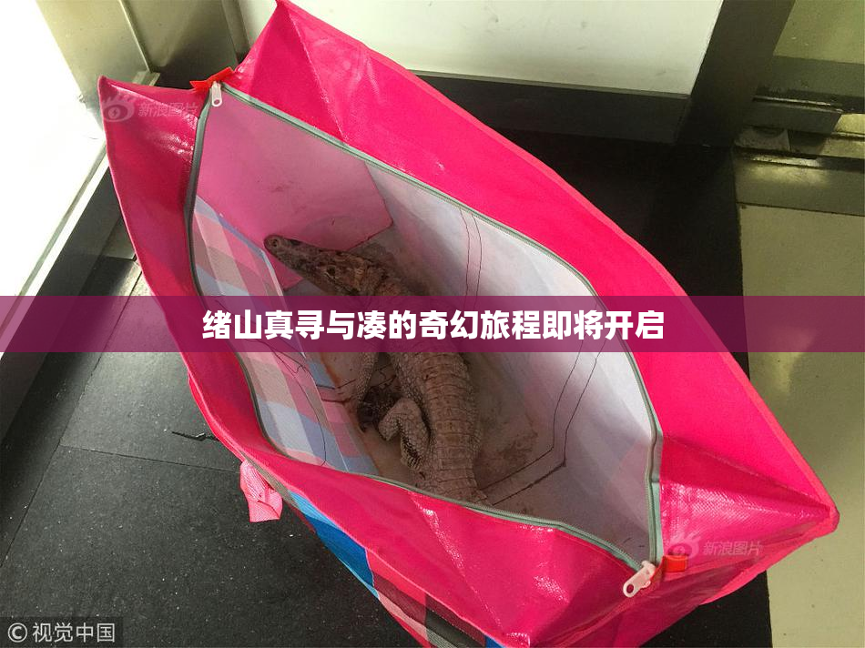 绪山真寻与凑的奇幻旅程即将开启