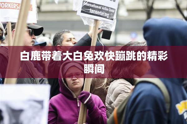 白鹿带着大白兔欢快蹦跳的精彩瞬间