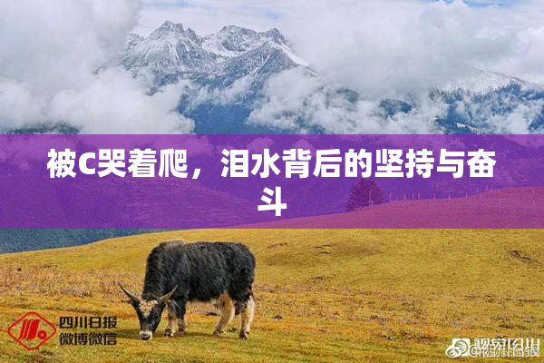 被C哭着爬，泪水背后的坚持与奋斗