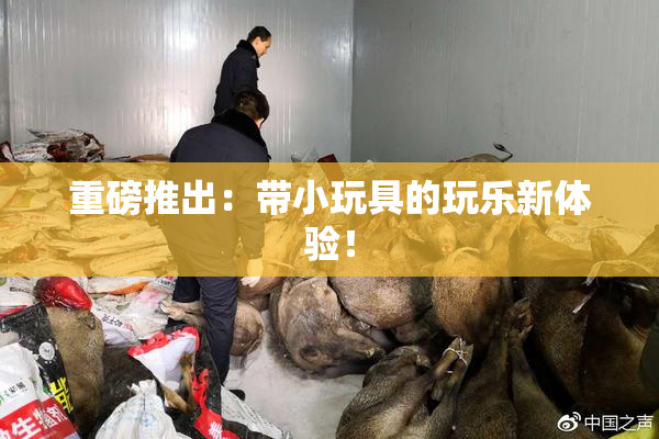 重磅推出：带小玩具的玩乐新体验！