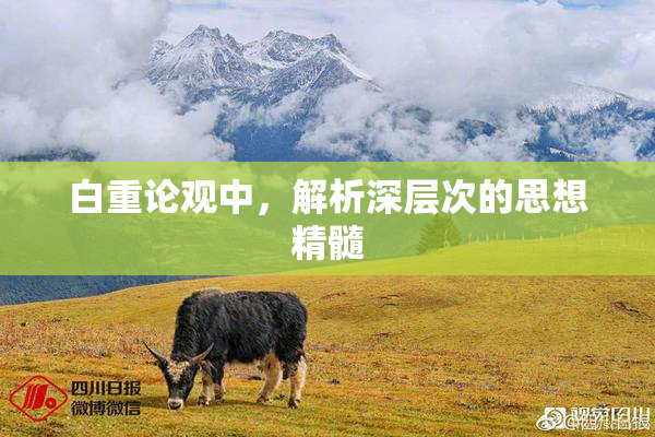 白重论观中，解析深层次的思想精髓
