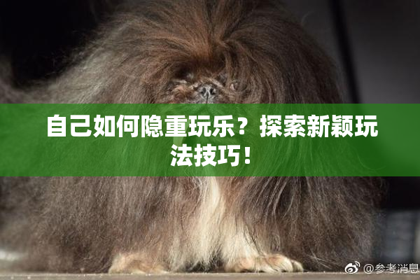 自己如何隐重玩乐？探索新颖玩法技巧！