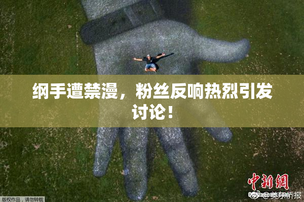 纲手遭禁漫，粉丝反响热烈引发讨论！