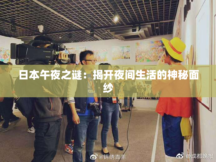 日本午夜之谜：揭开夜间生活的神秘面纱