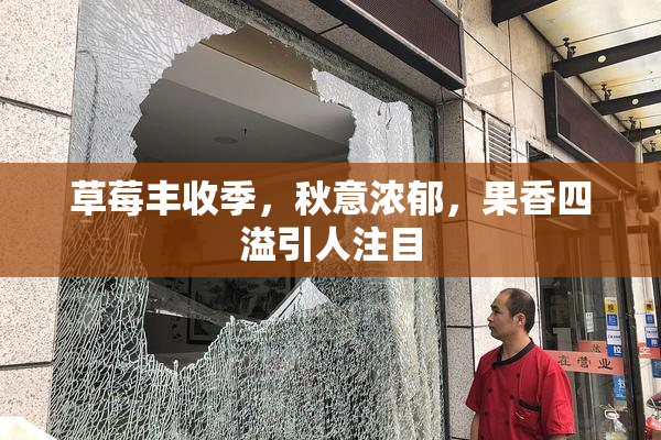 草莓丰收季，秋意浓郁，果香四溢引人注目