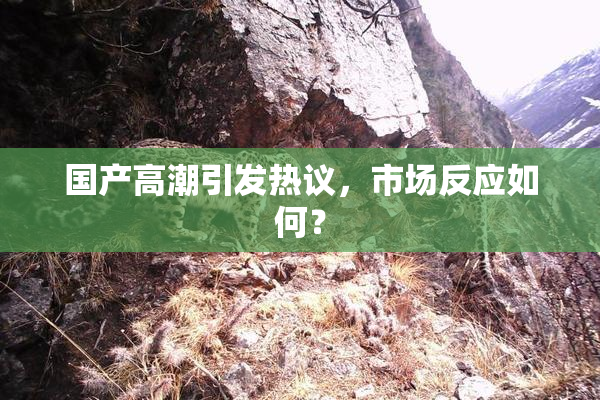 国产高潮引发热议，市场反应如何？