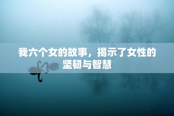 我六个女的故事，揭示了女性的坚韧与智慧