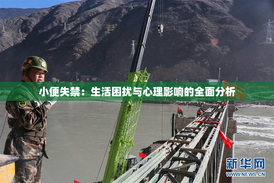 小便失禁：生活困扰与心理影响的全面分析