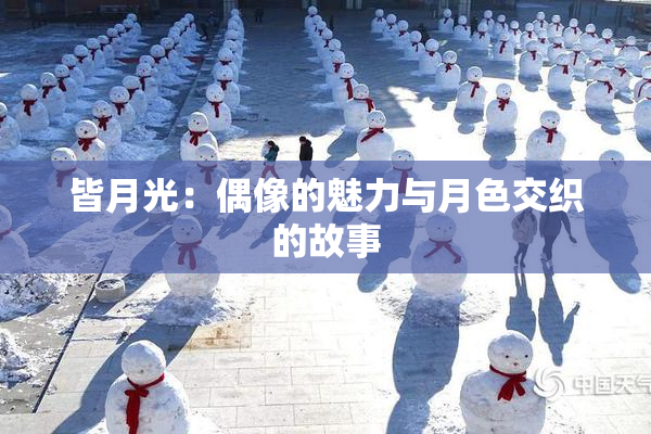 皆月光：偶像的魅力与月色交织的故事
