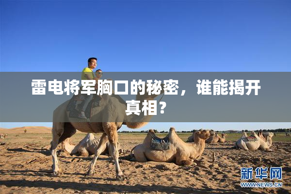 雷电将军胸口的秘密，谁能揭开真相？