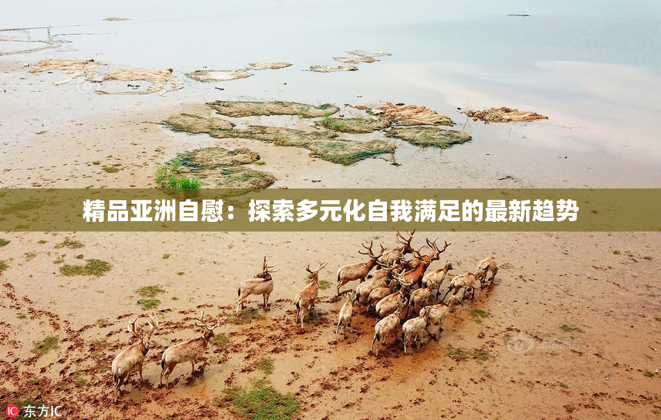精品亚洲自慰：探索多元化自我满足的最新趋势