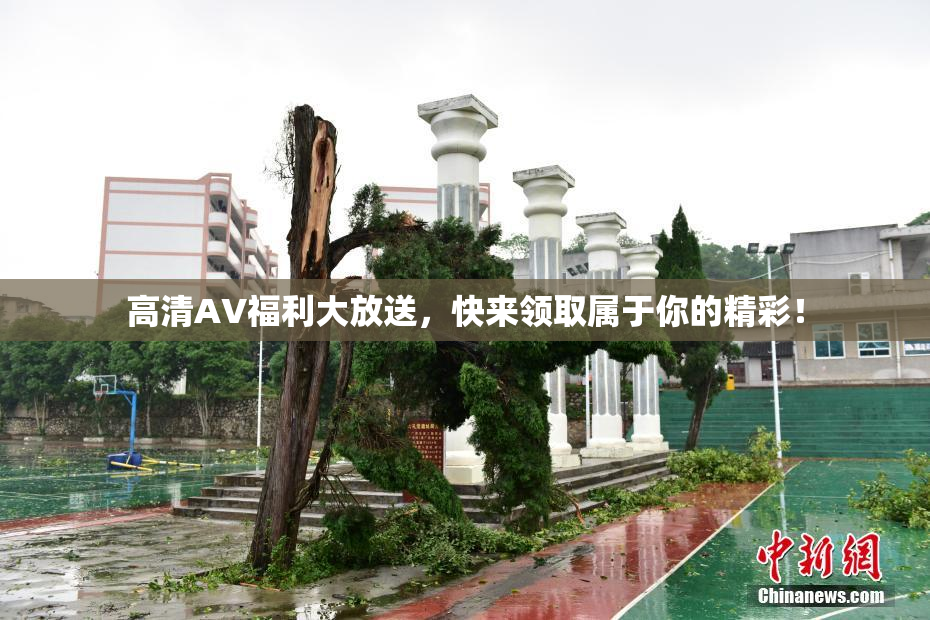 高清AV福利大放送，快来领取属于你的精彩！