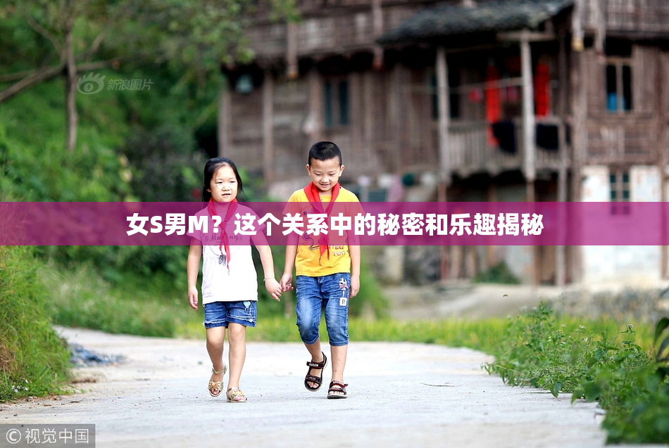 女S男M？这个关系中的秘密和乐趣揭秘