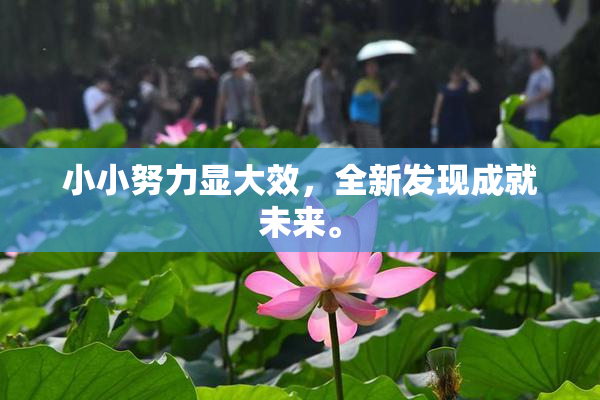 小小努力显大效，全新发现成就未来。