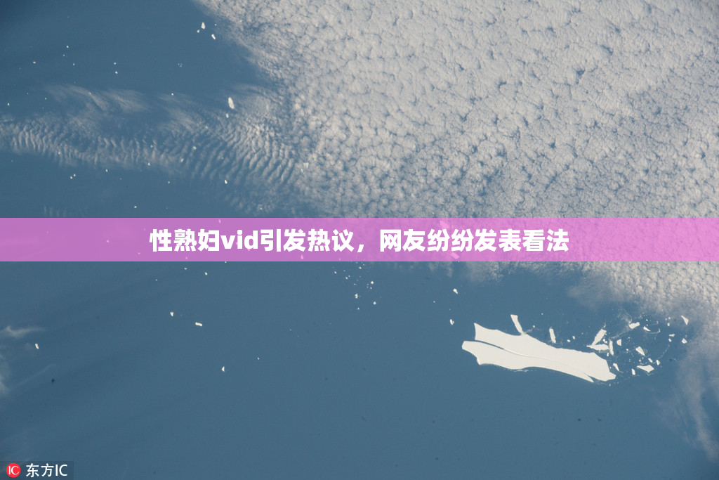 性熟妇vid引发热议，网友纷纷发表看法