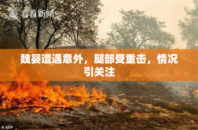 魏婴遭遇意外，腿部受重击，情况引关注