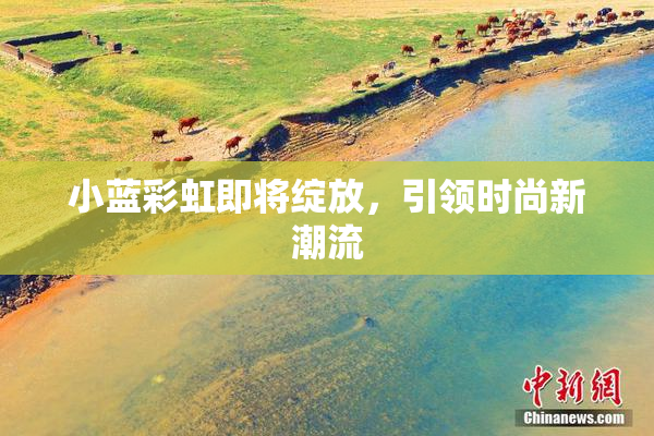 小蓝彩虹即将绽放，引领时尚新潮流