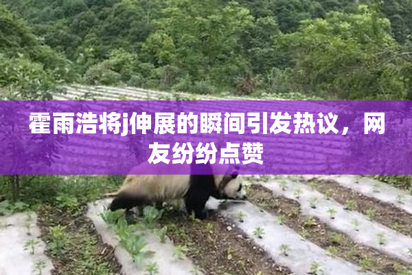 霍雨浩将j伸展的瞬间引发热议，网友纷纷点赞