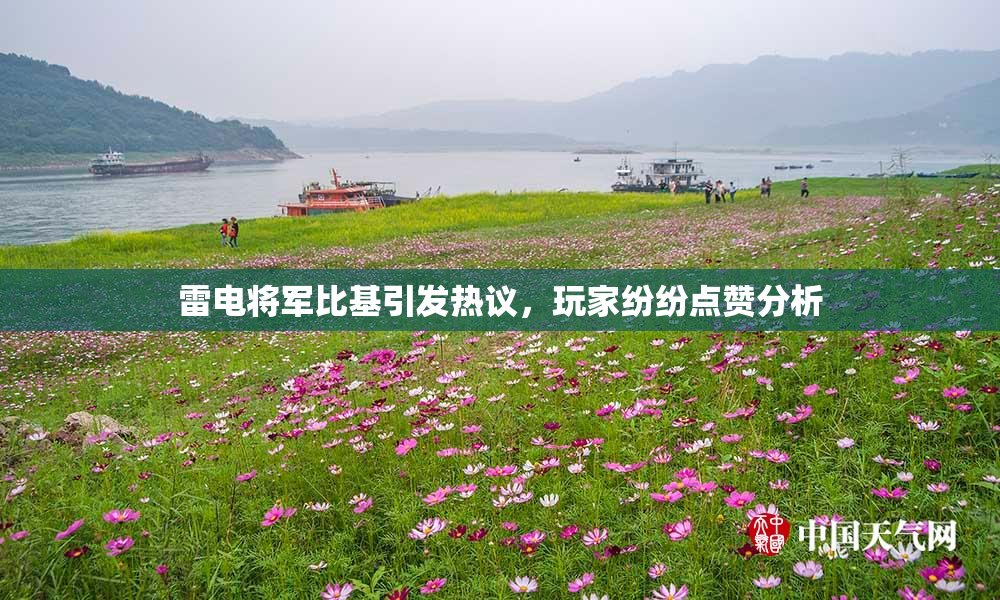 雷电将军比基引发热议，玩家纷纷点赞分析