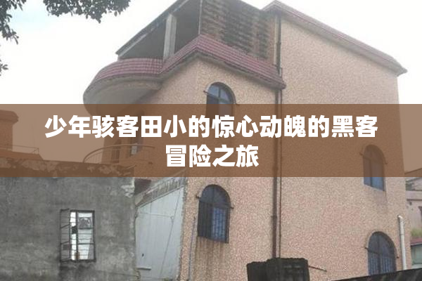 少年骇客田小的惊心动魄的黑客冒险之旅