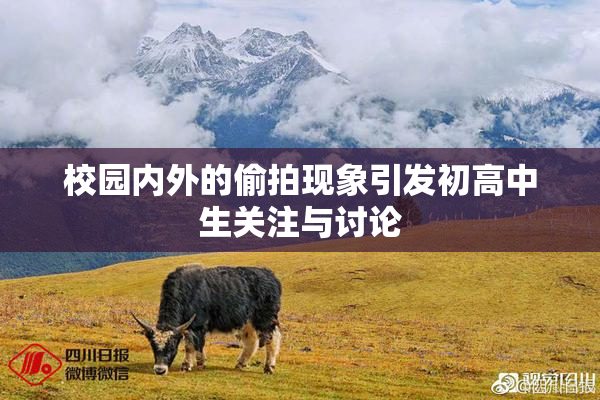 校园内外的偷拍现象引发初高中生关注与讨论