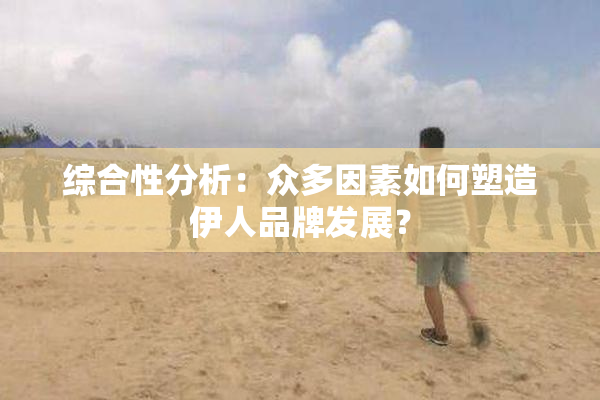 综合性分析：众多因素如何塑造伊人品牌发展？