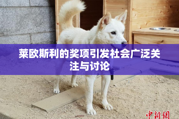 莱欧斯利的奖项引发社会广泛关注与讨论