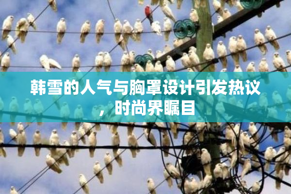 韩雪的人气与胸罩设计引发热议，时尚界瞩目