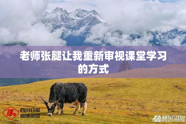 老师张腿让我重新审视课堂学习的方式