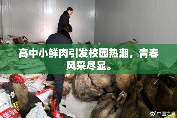 高中小鲜肉引发校园热潮，青春风采尽显。