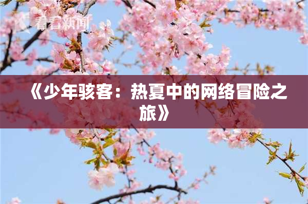 《少年骇客：热夏中的网络冒险之旅》
