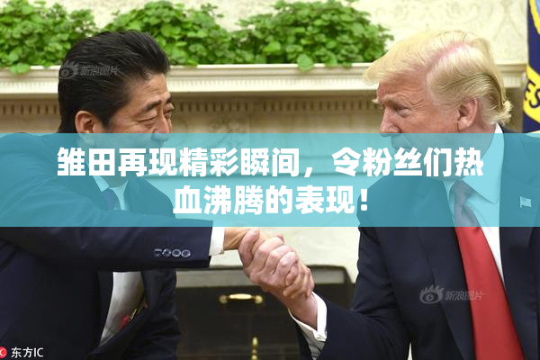 雏田再现精彩瞬间，令粉丝们热血沸腾的表现！