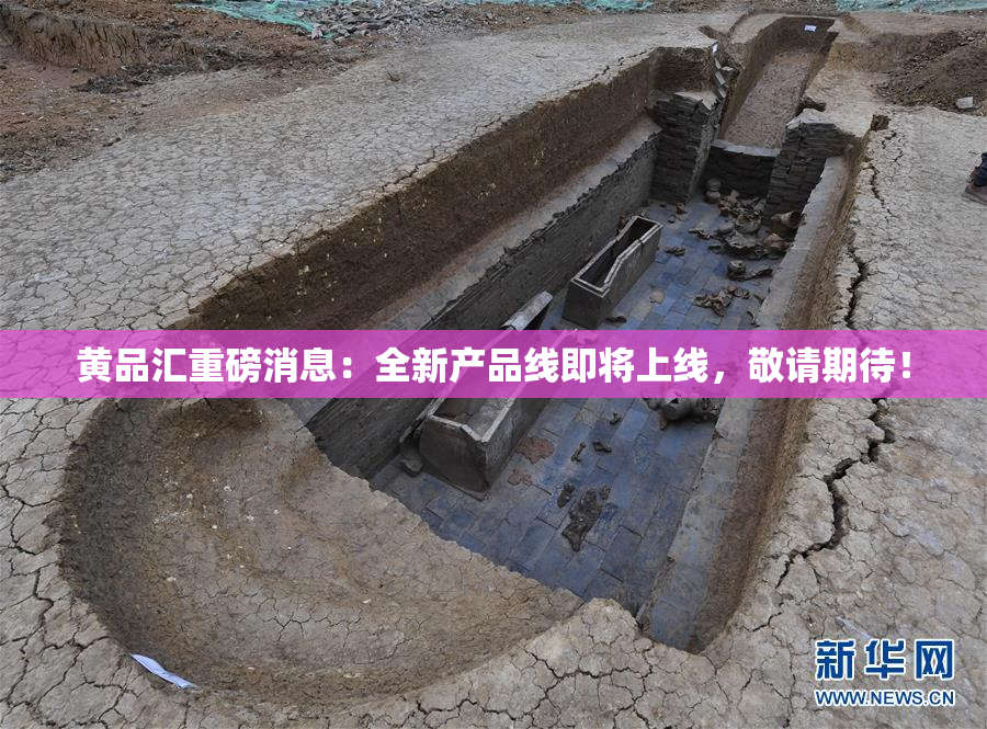 黄品汇重磅消息：全新产品线即将上线，敬请期待！