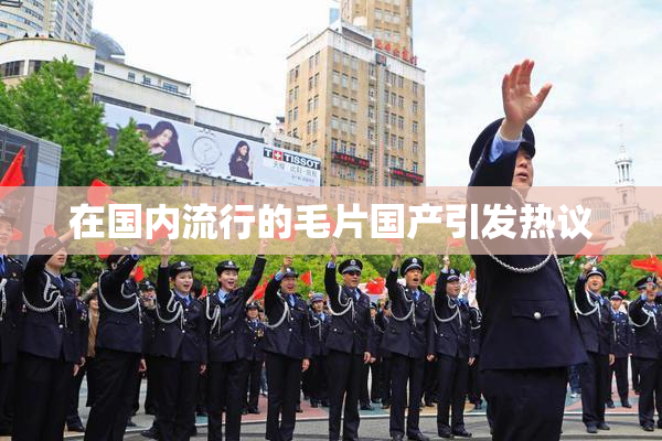 在国内流行的毛片国产引发热议