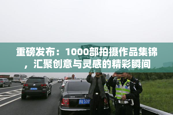 重磅发布：1000部拍摄作品集锦，汇聚创意与灵感的精彩瞬间