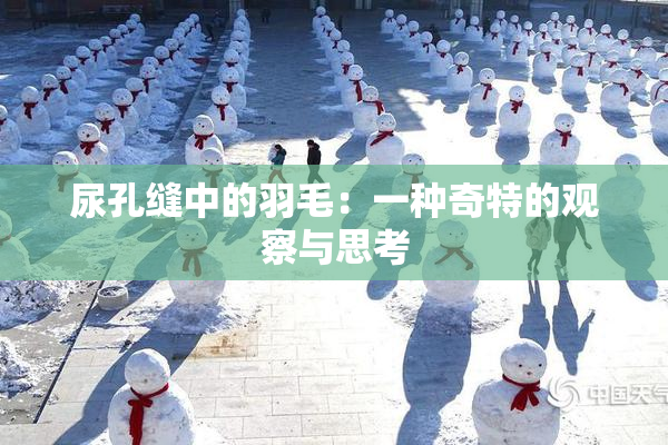 尿孔缝中的羽毛：一种奇特的观察与思考