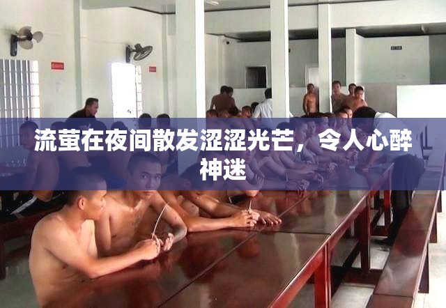 流萤在夜间散发涩涩光芒，令人心醉神迷