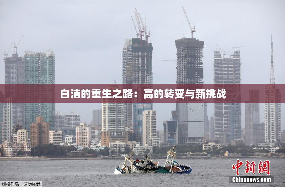白洁的重生之路：高的转变与新挑战