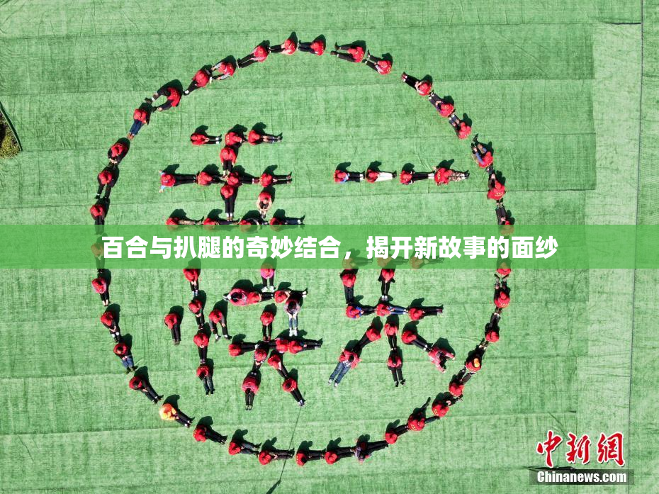 百合与扒腿的奇妙结合，揭开新故事的面纱