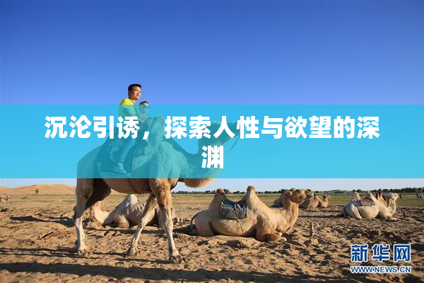 沉沦引诱，探索人性与欲望的深渊