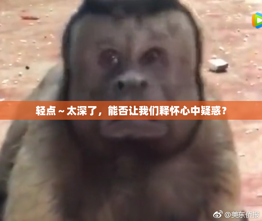 轻点～太深了，能否让我们释怀心中疑惑？