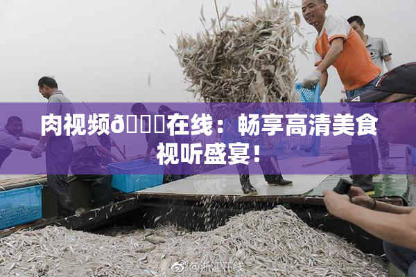 肉视频🔞在线：畅享高清美食视听盛宴！