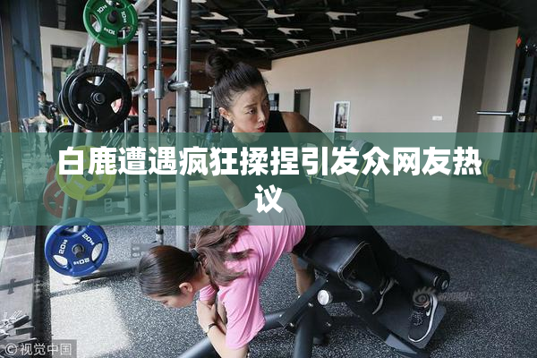 白鹿遭遇疯狂揉捏引发众网友热议