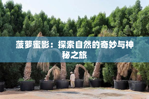 菠萝蜜影：探索自然的奇妙与神秘之旅