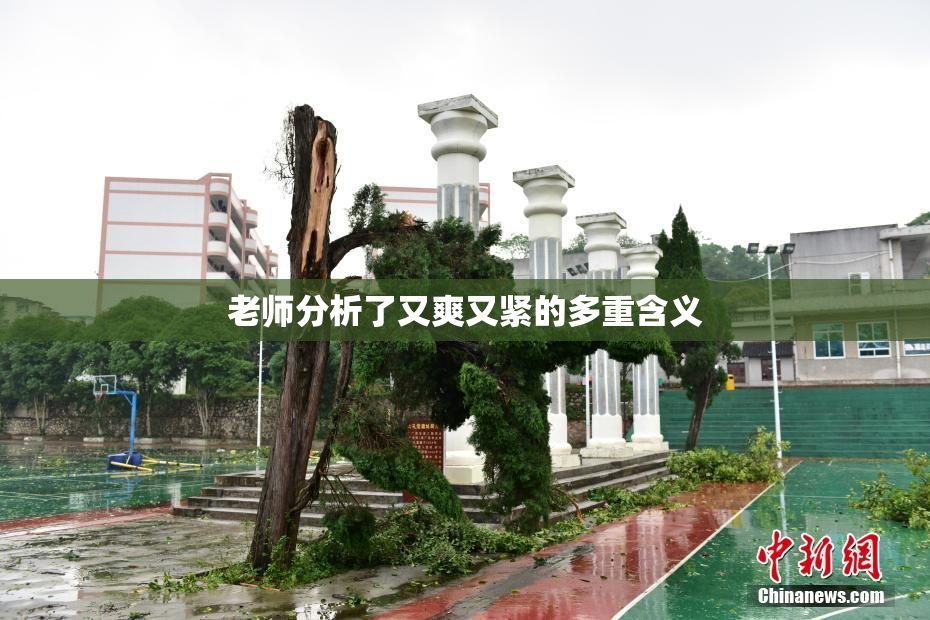 老师分析了又爽又紧的多重含义