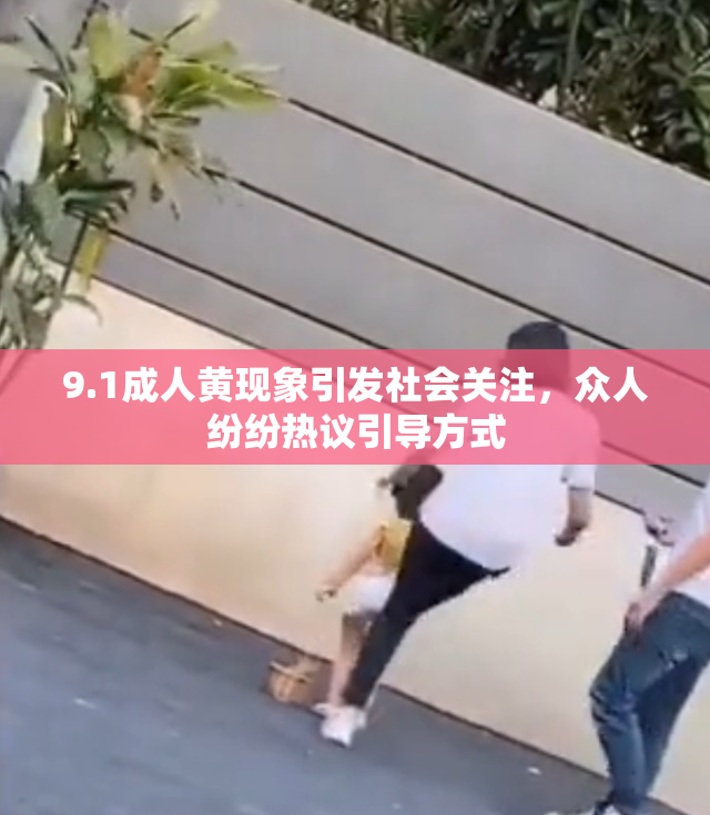 9.1成人黄现象引发社会关注，众人纷纷热议引导方式