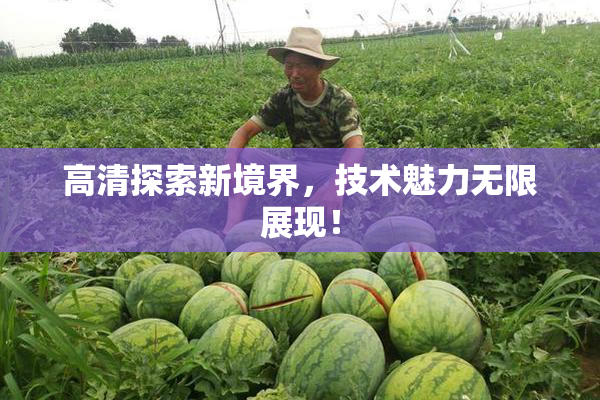 高清探索新境界，技术魅力无限展现！