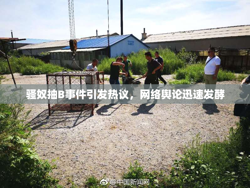骚奴抽B事件引发热议，网络舆论迅速发酵